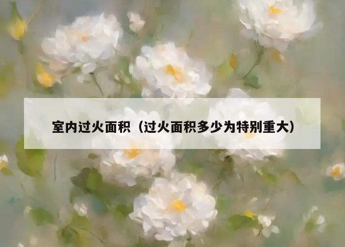 室内过火面积（过火面积多少为特别重大）