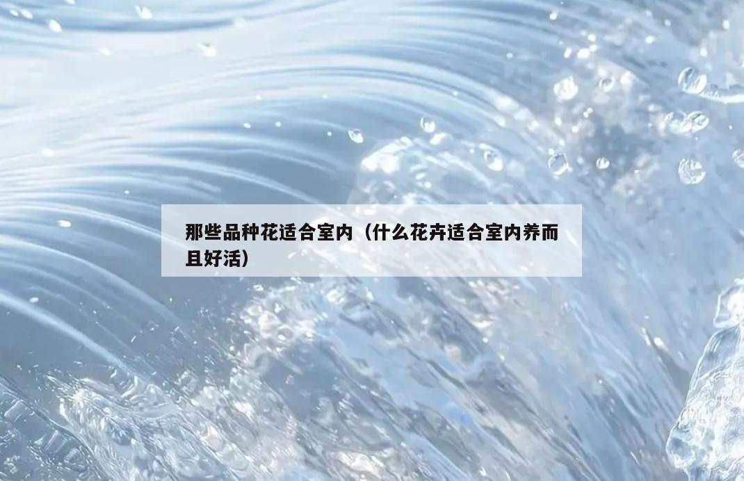 那些品种花适合室内（什么花卉适合室内养而且好活）