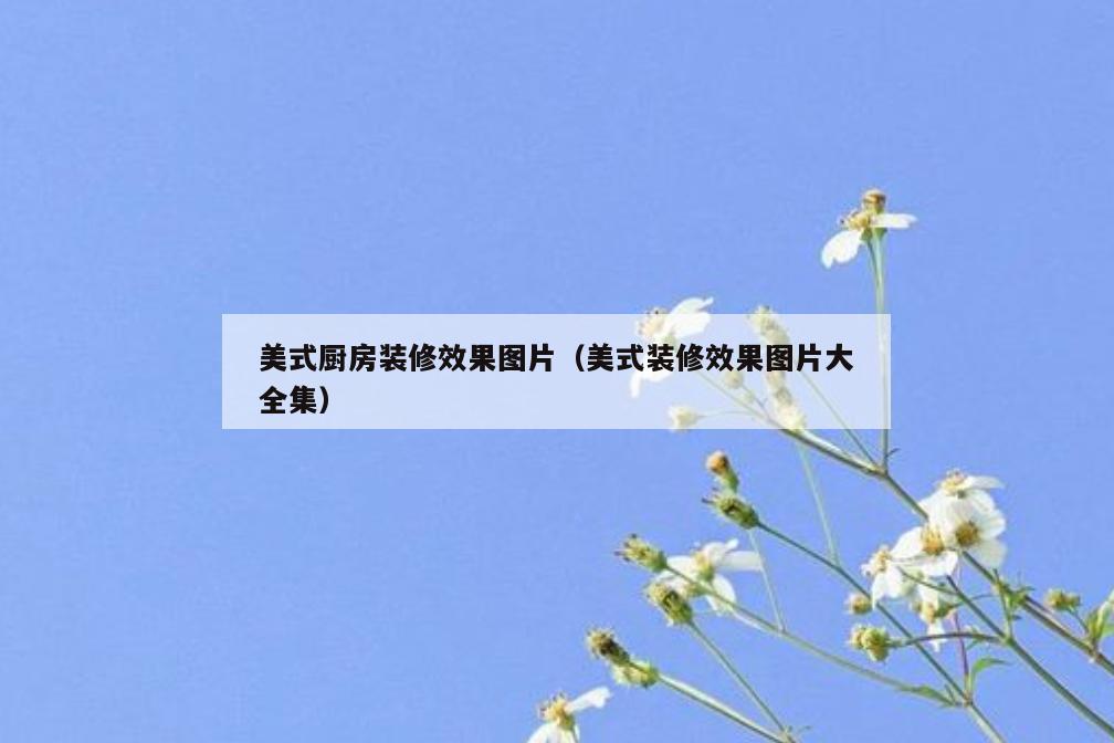 美式厨房装修效果图片（美式装修效果图片大全集）