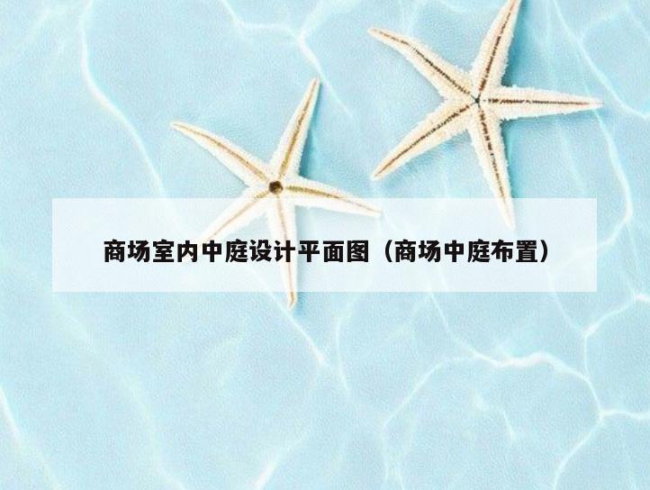 商场室内中庭设计平面图（商场中庭布置）