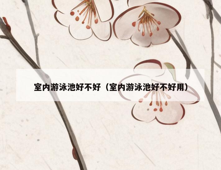 室内游泳池好不好（室内游泳池好不好用）