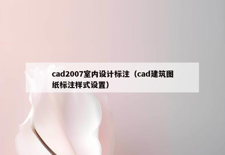 cad2007室内设计标注(cad建筑图纸标注样式设置) cad2007室内设计标注(cad建筑图纸标注样式设置)