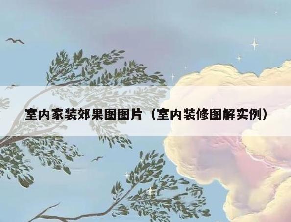 室内家装郊果图图片（室内装修图解实例）