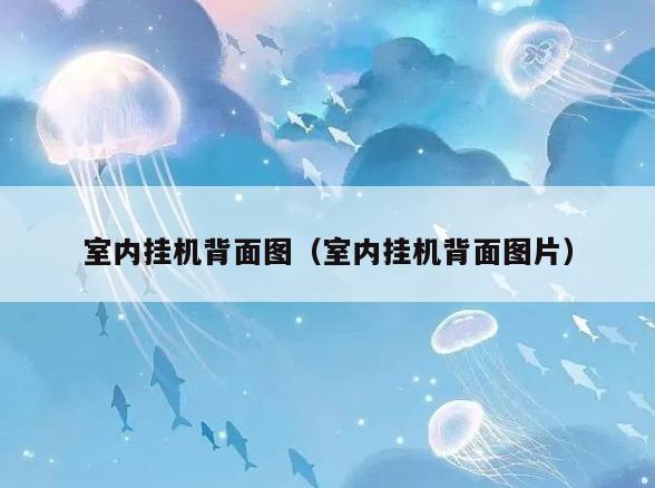 室内挂机背面图（室内挂机背面图片）