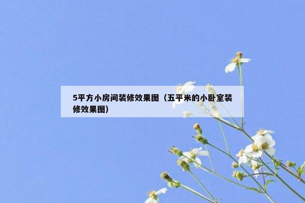 5平方小房间装修效果图（五平米的小卧室装修效果图）