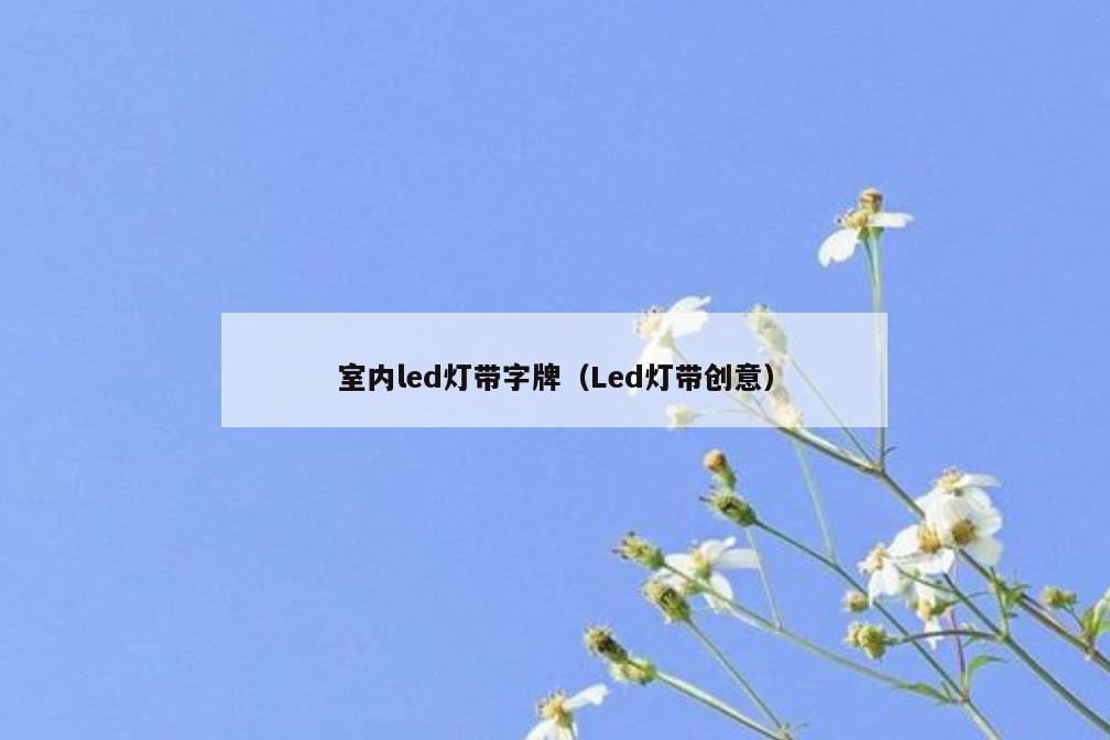 室内led灯带字牌（Led灯带创意）