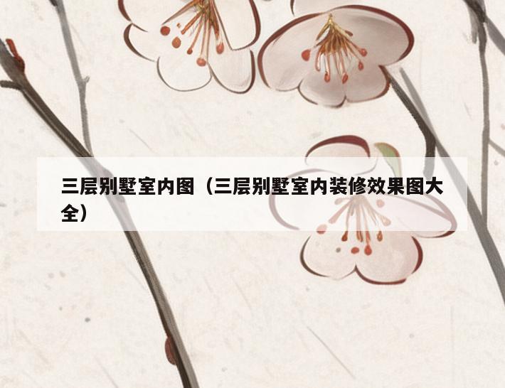三层别墅室内图（三层别墅室内装修效果图大全）