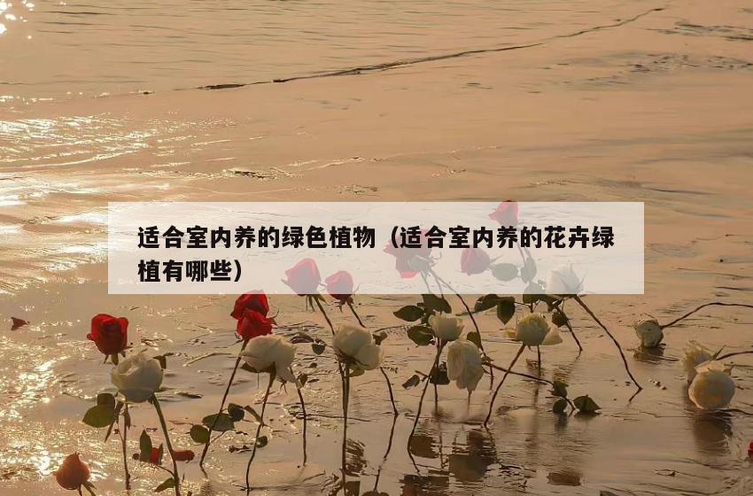 适合室内养的绿色植物（适合室内养的花卉绿植有哪些）