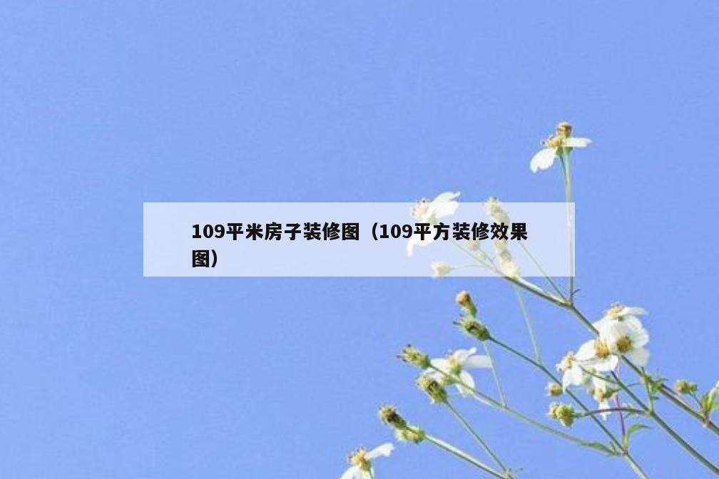 109平米房子装修图（109平方装修效果图）