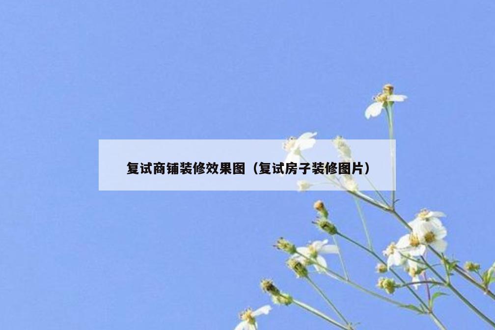 复试商铺装修效果图（复试房子装修图片）
