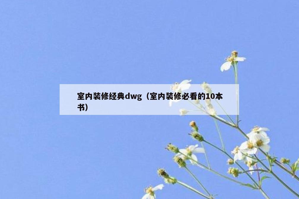 室内装修经典dwg(室内装修必看的10本书) 室内装修经典dwg(室内装修必看的10本书)