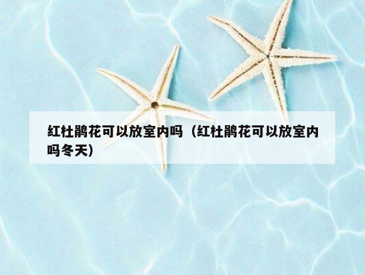 红杜鹃花可以放室内吗(红杜鹃花可以放室内吗冬天) 红杜鹃花可以放室内吗(红杜鹃花可以放室内吗冬天)