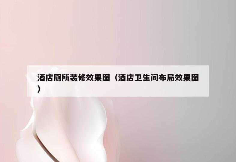 酒店厕所装修效果图(酒店卫生间布局效果图) 酒店厕所装修效果图(酒店卫生间布局效果图)