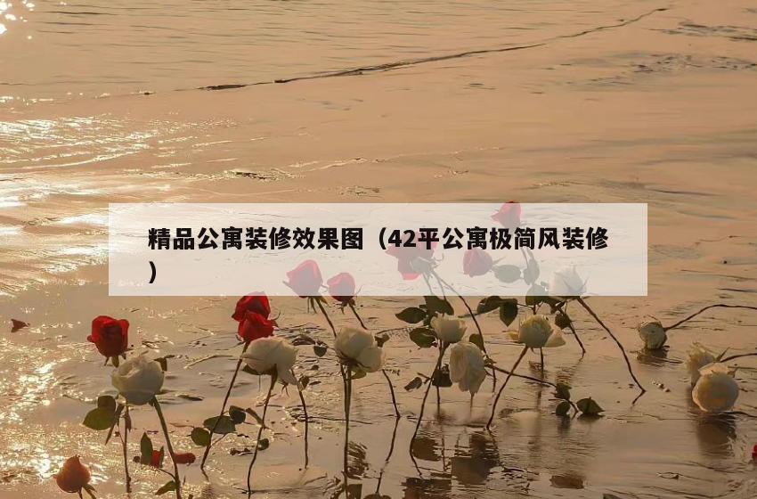 精品公寓装修效果图(42平公寓极简风装修) 精品公寓装修效果图(42平公寓极简风装修)