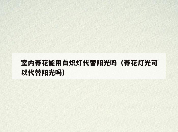室内养花能用白炽灯代替阳光吗（养花灯光可以代替阳光吗）