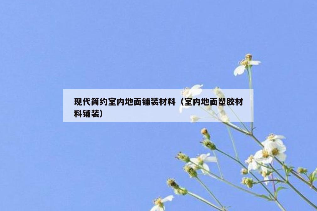 现代简约室内地面铺装材料(室内地面塑胶材料铺装) 现代简约室内地面铺装材料(室内地面塑胶材料铺装)