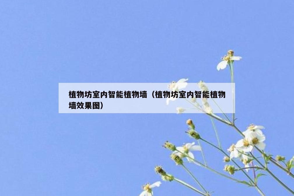 植物坊室内智能植物墙(植物坊室内智能植物墙效果图) 植物坊室内智能植物墙(植物坊室内智能植物墙效果图)