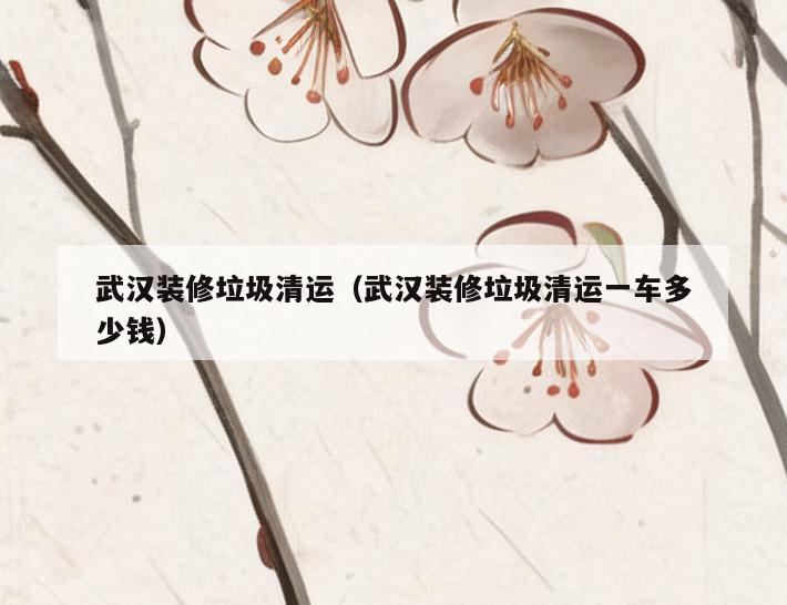 武汉装修垃圾清运(武汉装修垃圾清运一车多少钱) 武汉装修垃圾清运(武汉装修垃圾清运一车多少钱)
