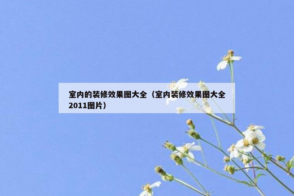 室内的装修效果图大全(室内装修效果图大全2011图片) 室内的装修效果图大全(室内装修效果图大全2011图片)