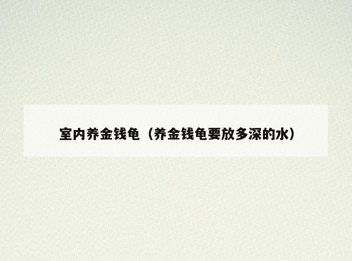 室内养金钱龟(养金钱龟要放多深的水) 室内养金钱龟(养金钱龟要放多深的水)