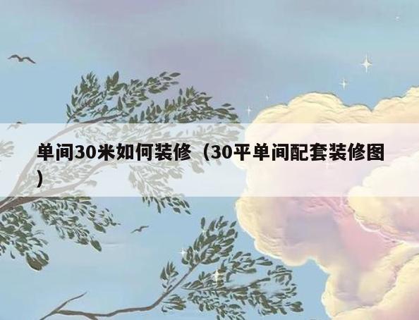 单间30米如何装修(30平单间配套装修图) 单间30米如何装修(30平单间配套装修图)