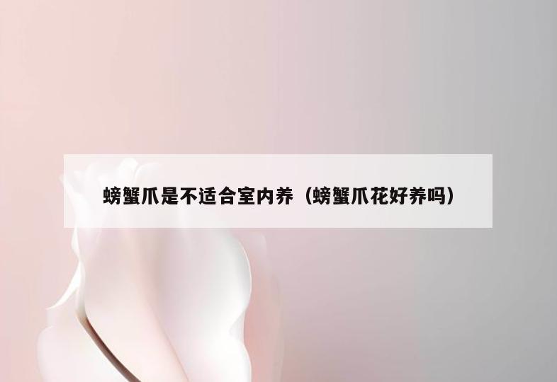 螃蟹爪是不适合室内养(螃蟹爪花好养吗) 螃蟹爪是不适合室内养(螃蟹爪花好养吗)