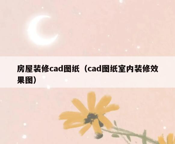 房屋装修cad图纸(cad图纸室内装修效果图) 房屋装修cad图纸(cad图纸室内装修效果图)