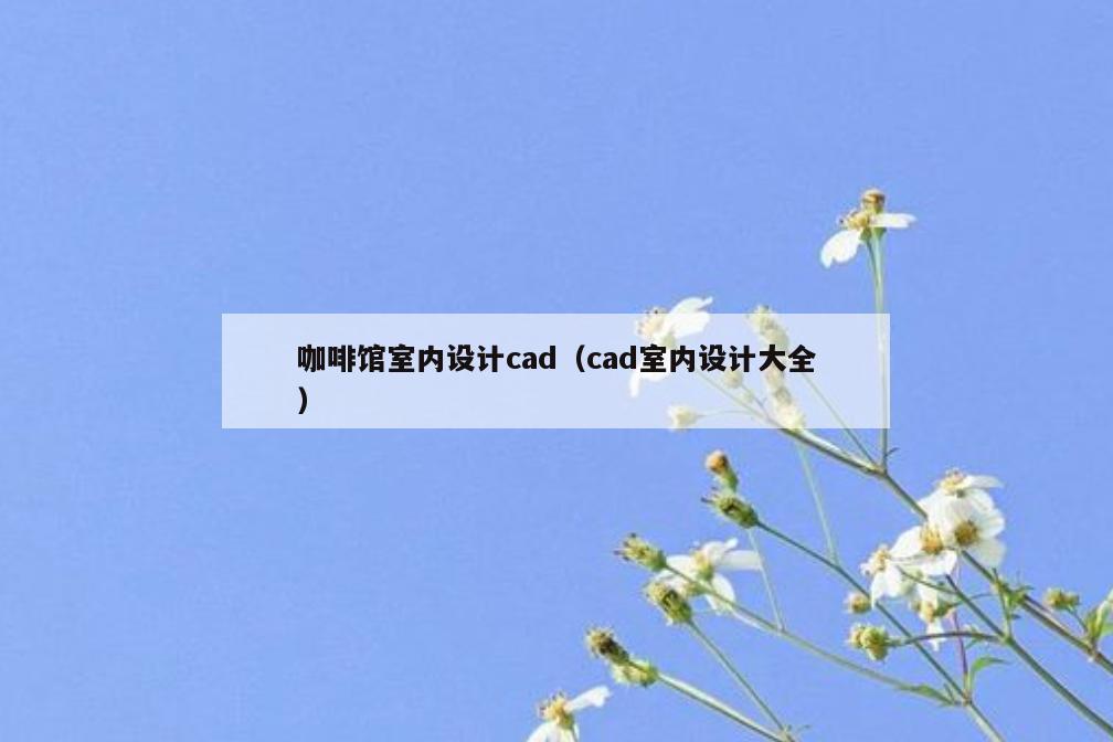 咖啡馆室内设计cad(cad室内设计大全) 咖啡馆室内设计cad(cad室内设计大全)