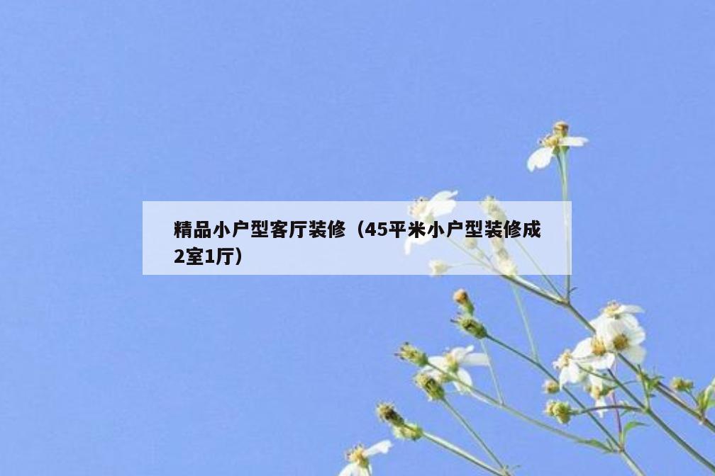 精品小户型客厅装修(45平米小户型装修成2室1厅) 精品小户型客厅装修(45平米小户型装修成2室1厅)