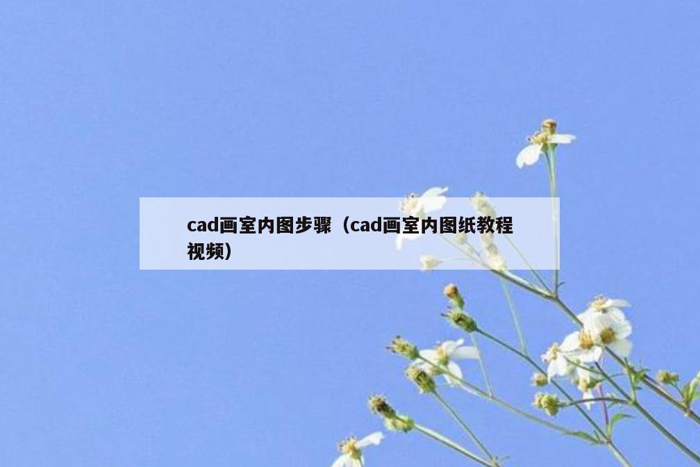 cad画室内图步骤(cad画室内图纸教程视频) cad画室内图步骤(cad画室内图纸教程视频)