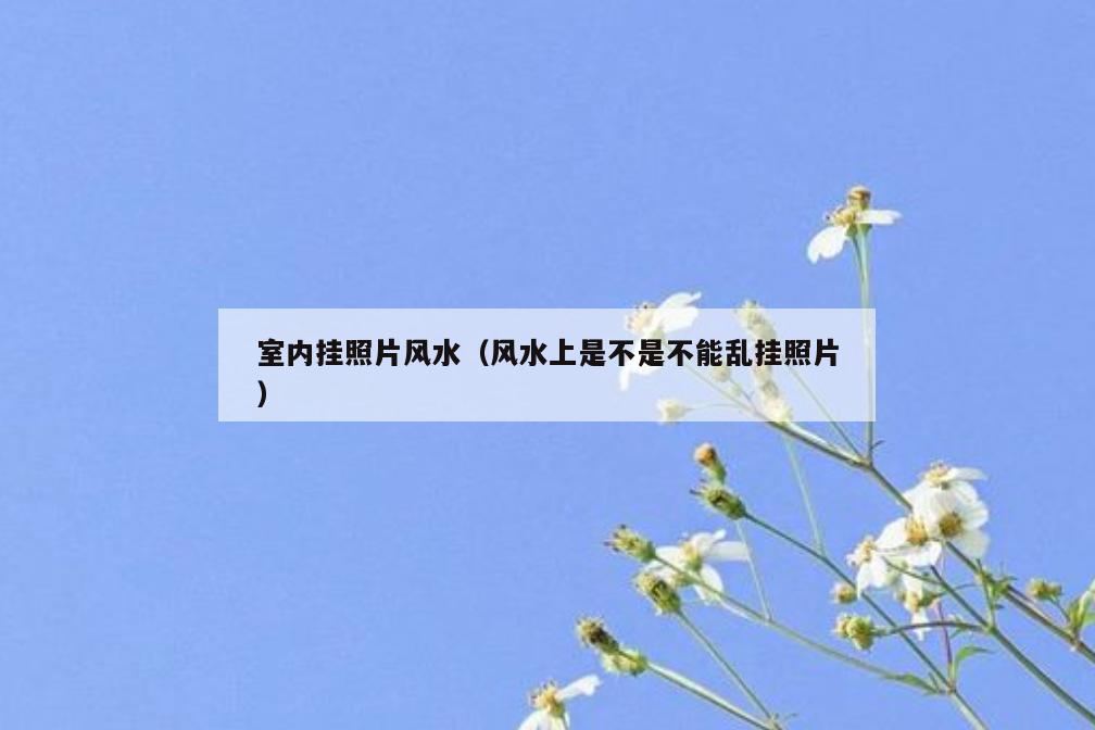室内挂照片风水(风水上是不是不能乱挂照片) 室内挂照片风水(风水上是不是不能乱挂照片)