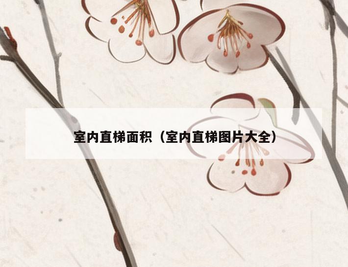 室内直梯面积(室内直梯图片大全) 室内直梯面积(室内直梯图片大全)