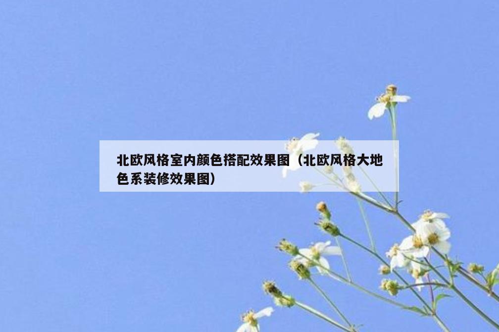 北欧风格室内颜色搭配效果图(北欧风格大地色系装修效果图) 北欧风格室内颜色搭配效果图(北欧风格大地色系装修效果图)