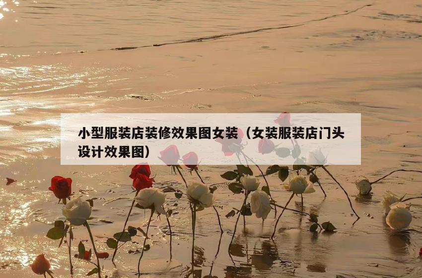 小型服装店装修效果图女装(女装服装店门头设计效果图) 小型服装店装修效果图女装(女装服装店门头设计效果图)