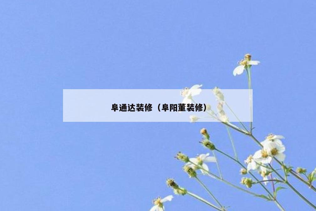 阜通达装修(阜阳董装修) 阜通达装修(阜阳董装修)