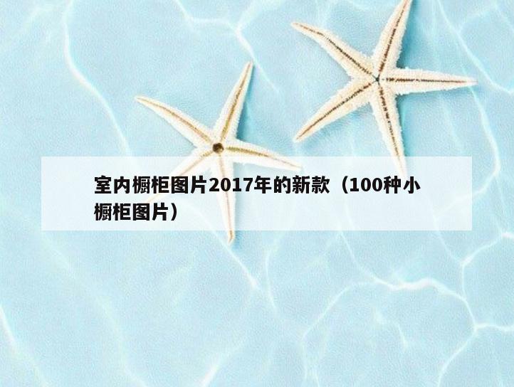 室内橱柜图片2017年的新款(100种小橱柜图片) 室内橱柜图片2017年的新款(100种小橱柜图片)