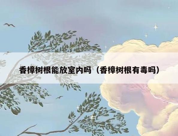 香樟树根能放室内吗(香樟树根有毒吗) 香樟树根能放室内吗(香樟树根有毒吗)