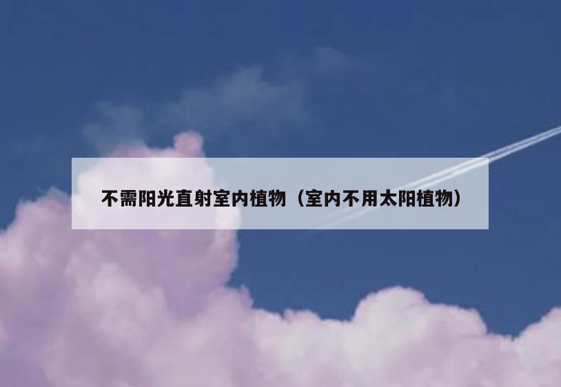 不需阳光直射室内植物(室内不用太阳植物) 不需阳光直射室内植物(室内不用太阳植物)