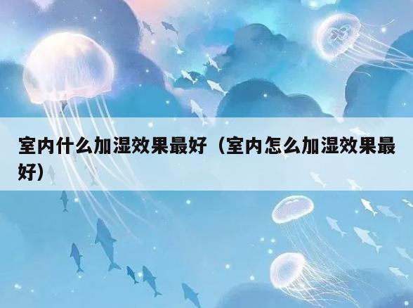 室内什么加湿效果最好(室内怎么加湿效果最好) 室内什么加湿效果最好(室内怎么加湿效果最好)