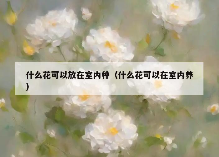 什么花可以放在室内种(什么花可以在室内养) 什么花可以放在室内种(什么花可以在室内养)