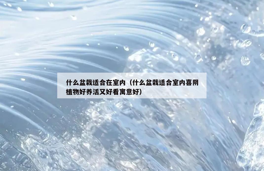 什么盆栽适合在室内(什么盆栽适合室内喜*植物好养活又好看寓意好) 什么盆栽适合在室内(什么盆栽适合室内喜*植物好养活又好看寓意好)