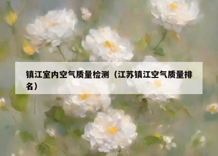 镇江室内空气质量检测(江苏镇江空气质量排名) 镇江室内空气质量检测(江苏镇江空气质量排名)