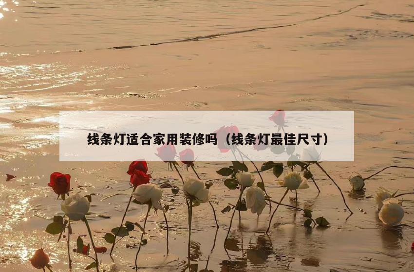 线条灯适合家用装修吗(线条灯最佳尺寸) 线条灯适合家用装修吗(线条灯最佳尺寸)