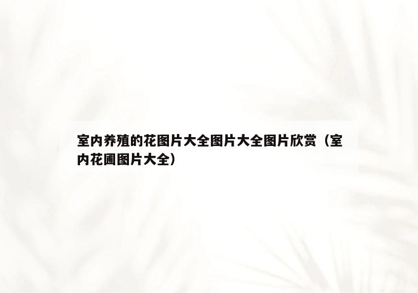 室内养殖的花图片大全图片大全图片欣赏(室内花圃图片大全) 室内养殖的花图片大全图片大全图片欣赏(室内花圃图片大全)