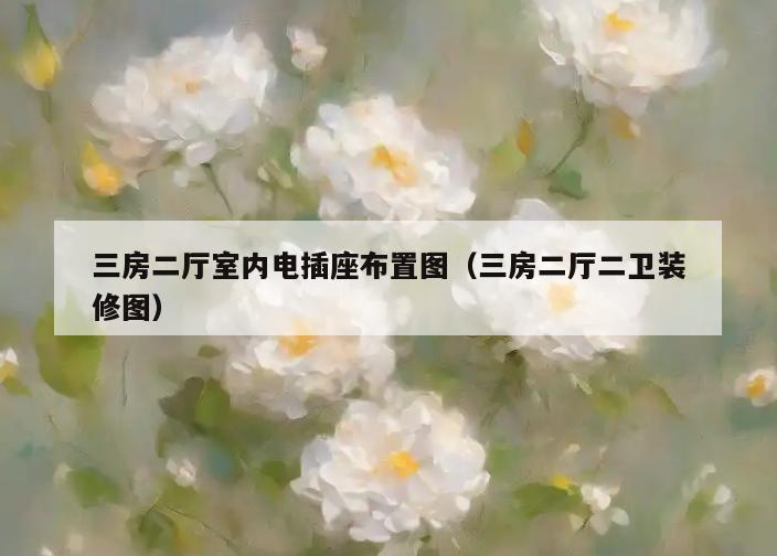 三房二厅室内电插座布置图(三房二厅二卫装修图) 三房二厅室内电插座布置图(三房二厅二卫装修图)