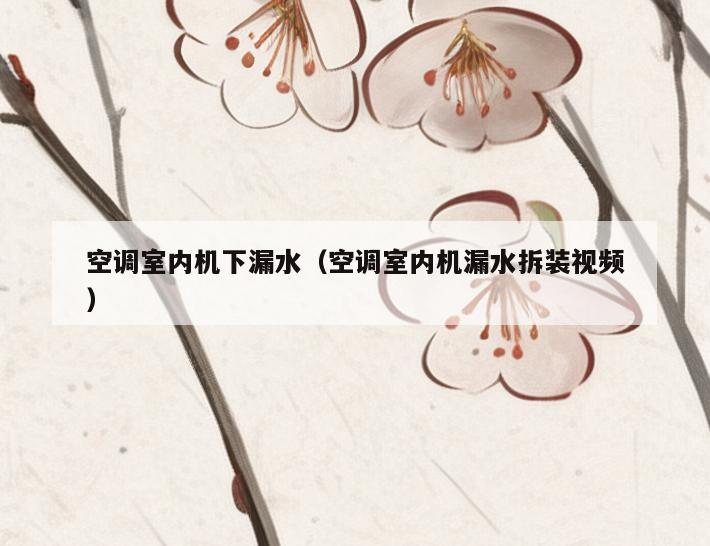 空调室内机下漏水(空调室内机漏水拆装视频) 空调室内机下漏水(空调室内机漏水拆装视频)