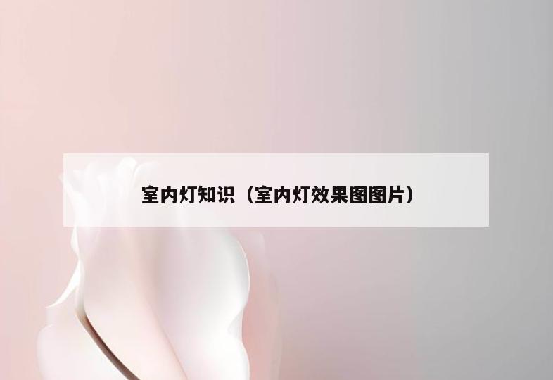 室内灯知识（室内灯效果图图片）