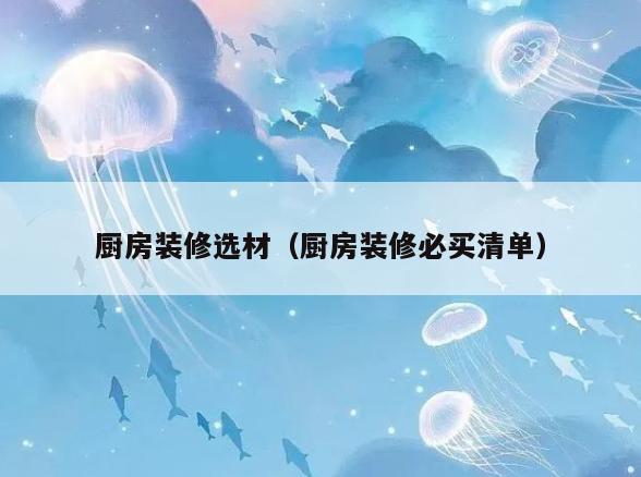 厨房装修选材（厨房装修必买清单）