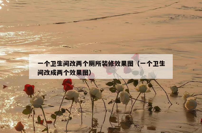 一个卫生间改两个厕所装修效果图(一个卫生间改成两个效果图) 一个卫生间改两个厕所装修效果图(一个卫生间改成两个效果图)