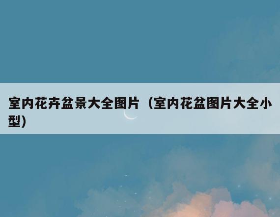 室内花卉盆景大全图片(室内花盆图片大全小型) 室内花卉盆景大全图片(室内花盆图片大全小型)